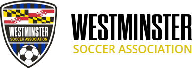 wsa-logo-header