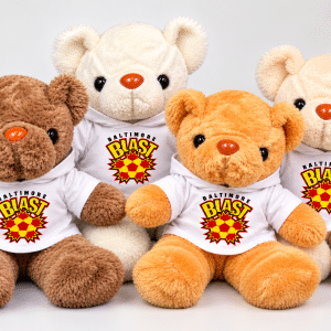 Blast Teddy Bear